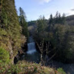 Meet your Posher, Riley